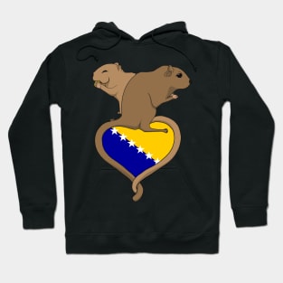 Gerbil Bosnia and Herzegovina (light) Hoodie